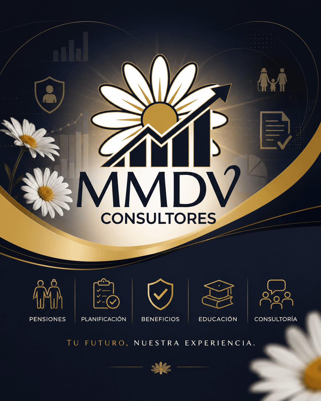 MMDV Consultores